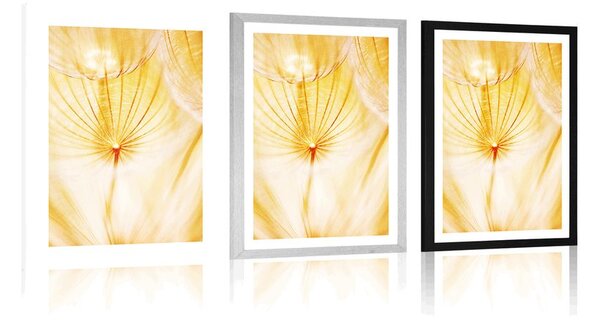 Plakat s paspartujem regratova lučka v rumeni varianti