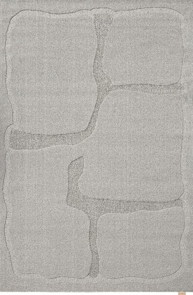 Siva volnena preproga 200x300 cm Morphic Organica – Agnella