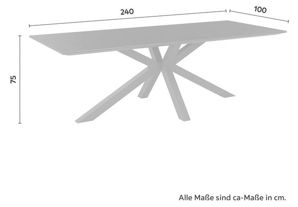 Mömax Vrtna Miza Marbella, Antracit, 240x100