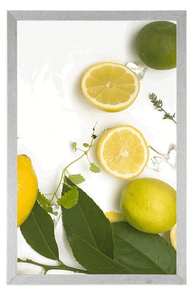 Plakat mix limone