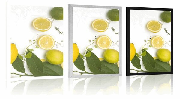 Plakat mix limone