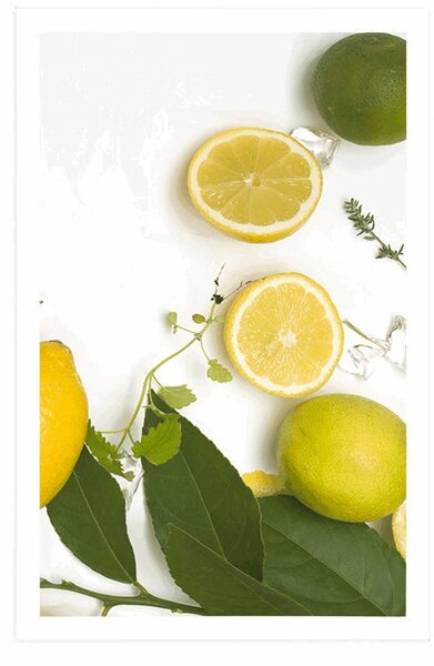 Plakat mix limone