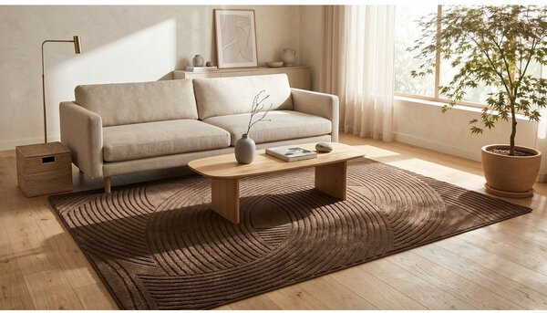 Rjava preproga 120x170 cm Zephyr – ESTE