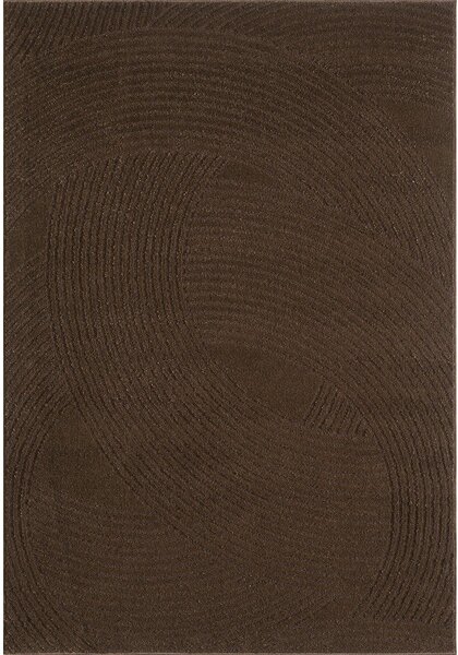Rjava preproga 120x170 cm Zephyr – ESTE