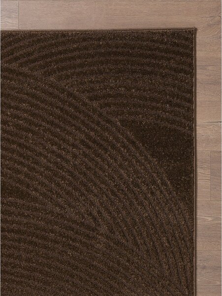 Rjava preproga 120x170 cm Zephyr – ESTE