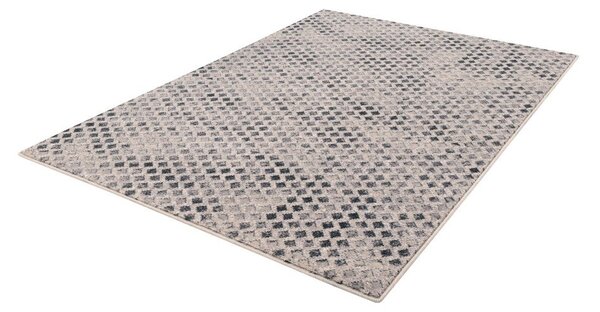 Volnena preproga 80x150 cm Fridia – Agnella