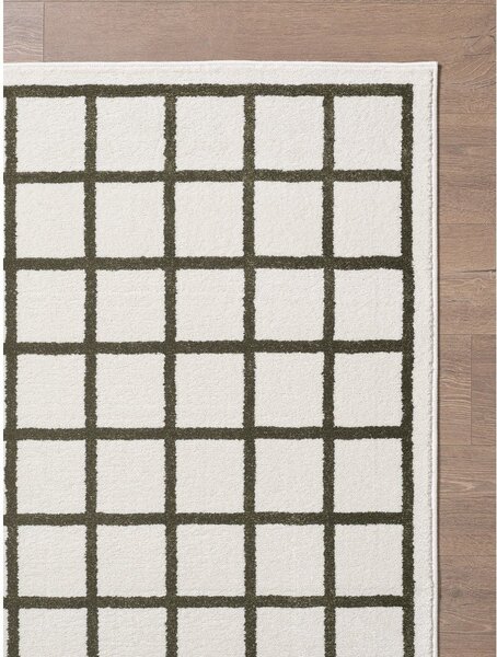 Temno zelena/kremno bela preproga 120x170 cm Picnic – ESTE