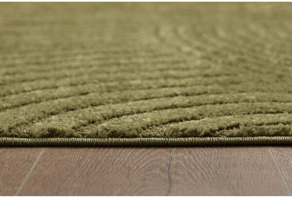Temno zelena preproga 120x170 cm Whirl – ESTE