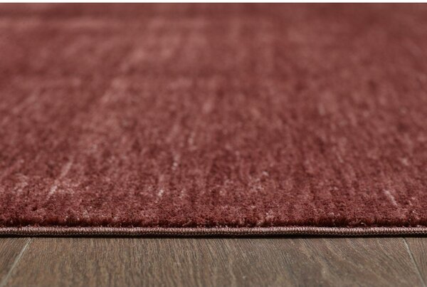 Bordo rdeča preproga 160x230 cm Puro – ESTE