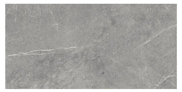 Granitogresne ploščice Viper (120 x 60 cm, Siva, Mat)