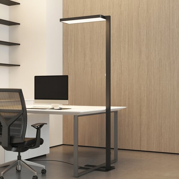 Arcchio LED talna svetilka Timon, 54 W, črna, višina 195 cm, zatemnjen, Črna, Študija / pisarna, Aluminij, Sodobni, Stoječe senčilo