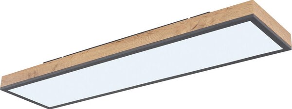 STROPNA LED-SVETILKA Ludwig 23,93 W 2549,40 lm 2700-4000-6500 K 220-240 V