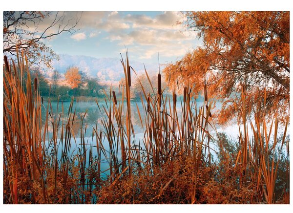 Fototapeta jezero sredi jesenske narave