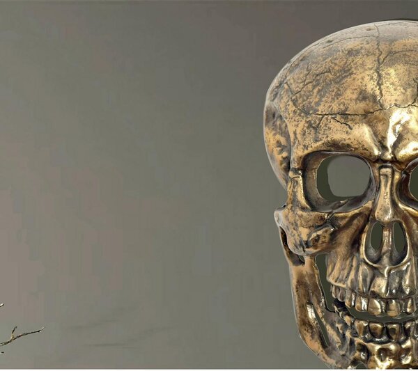 Livetastic Stenska Dekoracija Skull