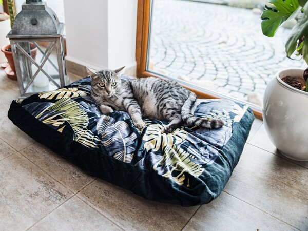 Mehka blazina za psa/mačko ROYAL PET 75x60 cm, vzorčasta