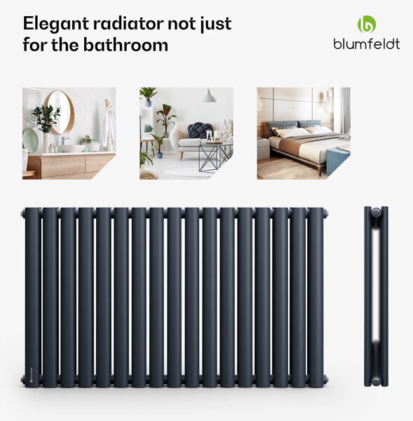 Blumfeldt Tallheo, 100 x 60, radiator, cevasti radiator, 1445 W, topla voda, 1/2