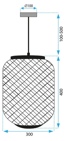 Stropna svetilka APP1312-1CP