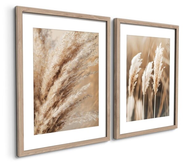 Slike v kompletu 2 ks 30x40 cm Selloana – Styler
