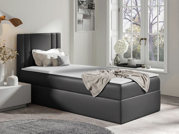 Boxspring postelja Baltimore 179, 100x200, Eko usnje, Posteljno dno, 102x208x103cm, Vzmetnica