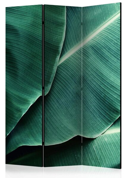PARAVAN 135/172/3 cm temno zelena, metino zelena
