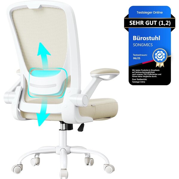 Ergonomska pisarniška stolica v barvi ovsenih kosmičev