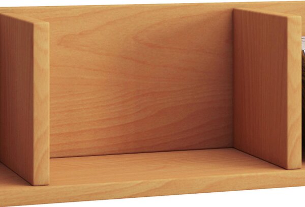 STENSKI REGAL 97/15/17 cm barve bukve