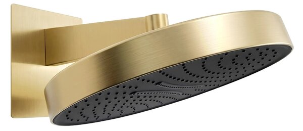 Okrogla tuš glava REA Set JS-036BG Gold Brush