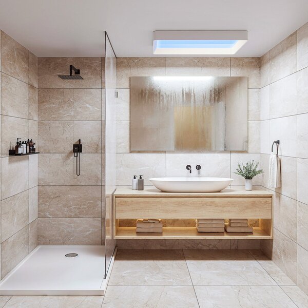 Philips LED-stropna svetilka SKYLIGHT, 65 x 45 cm, bela, CCT IP44, zatemnjen, Bela, Dnevna soba / jedilnica, Plastika, Sodobni